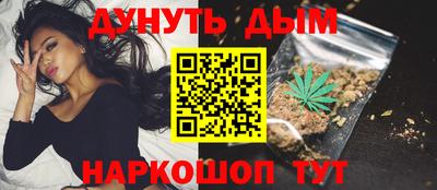 крисы Можга
