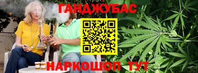 крисы Можга