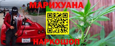 крисы Можга